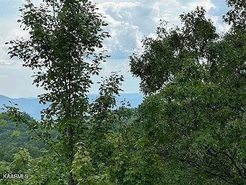 5th image of 24 Grouse Ridge Ln Lot 24