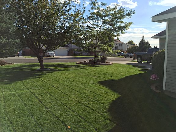 Front Yard