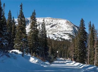 216 Hamilton Ln, Breckenridge, CO 80424