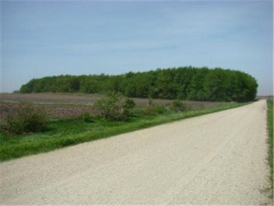 230 Th St #X, Austin, MN, 55912