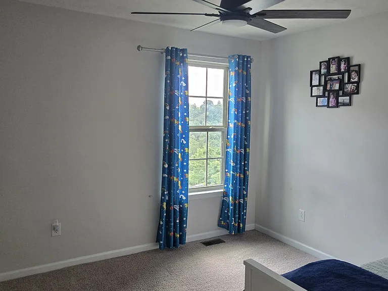 2952 Pinnacle Dr — Photo 8
