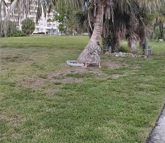 1749 Bikini Ct — Photo 38