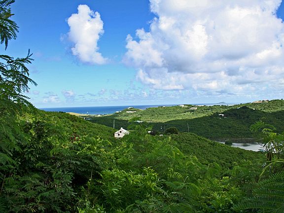 Subdivisioin Water View