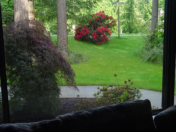 Front yard