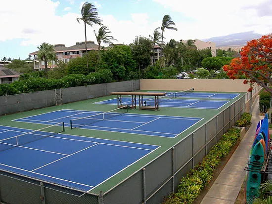 2695 S Kihei Rd #9204 — Photo 5