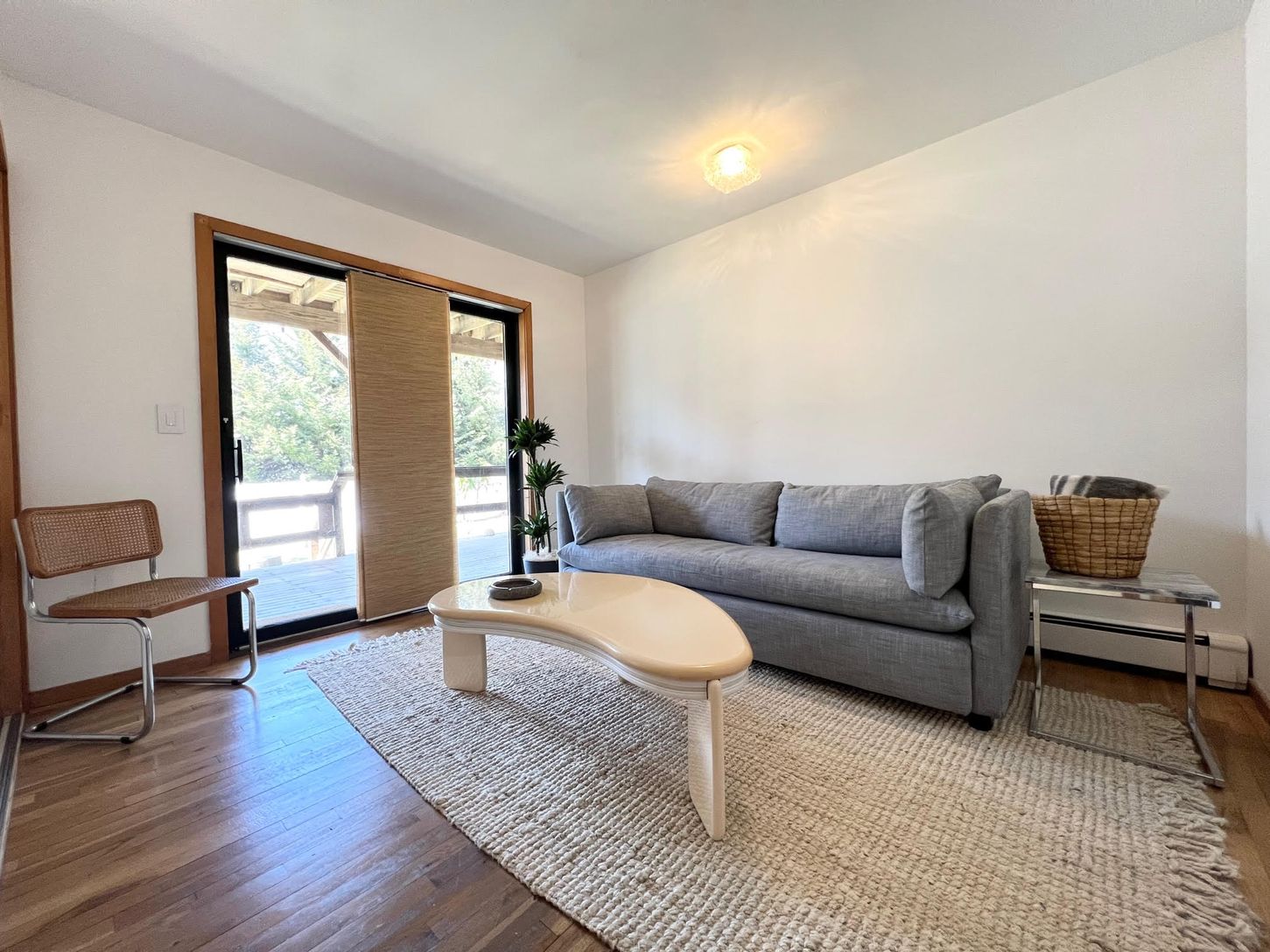 Downstairs Full Sofa-Bedroom