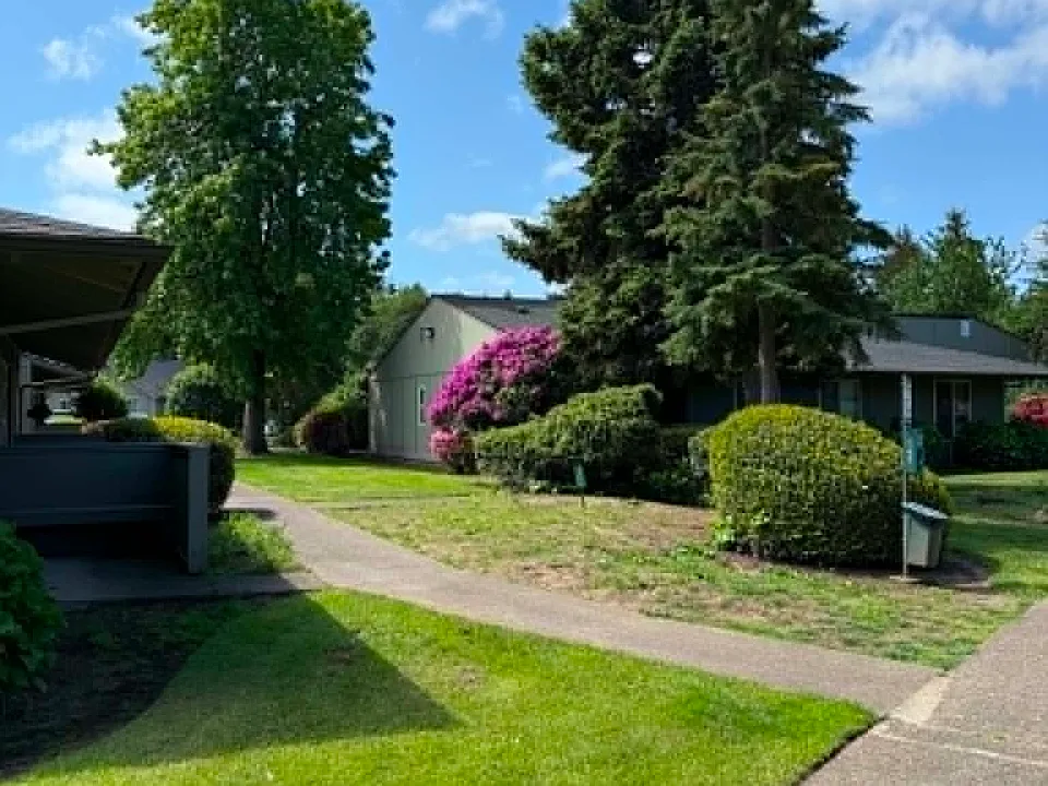 Community area