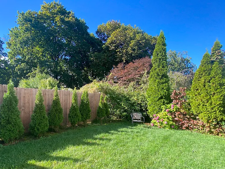 Back yard.