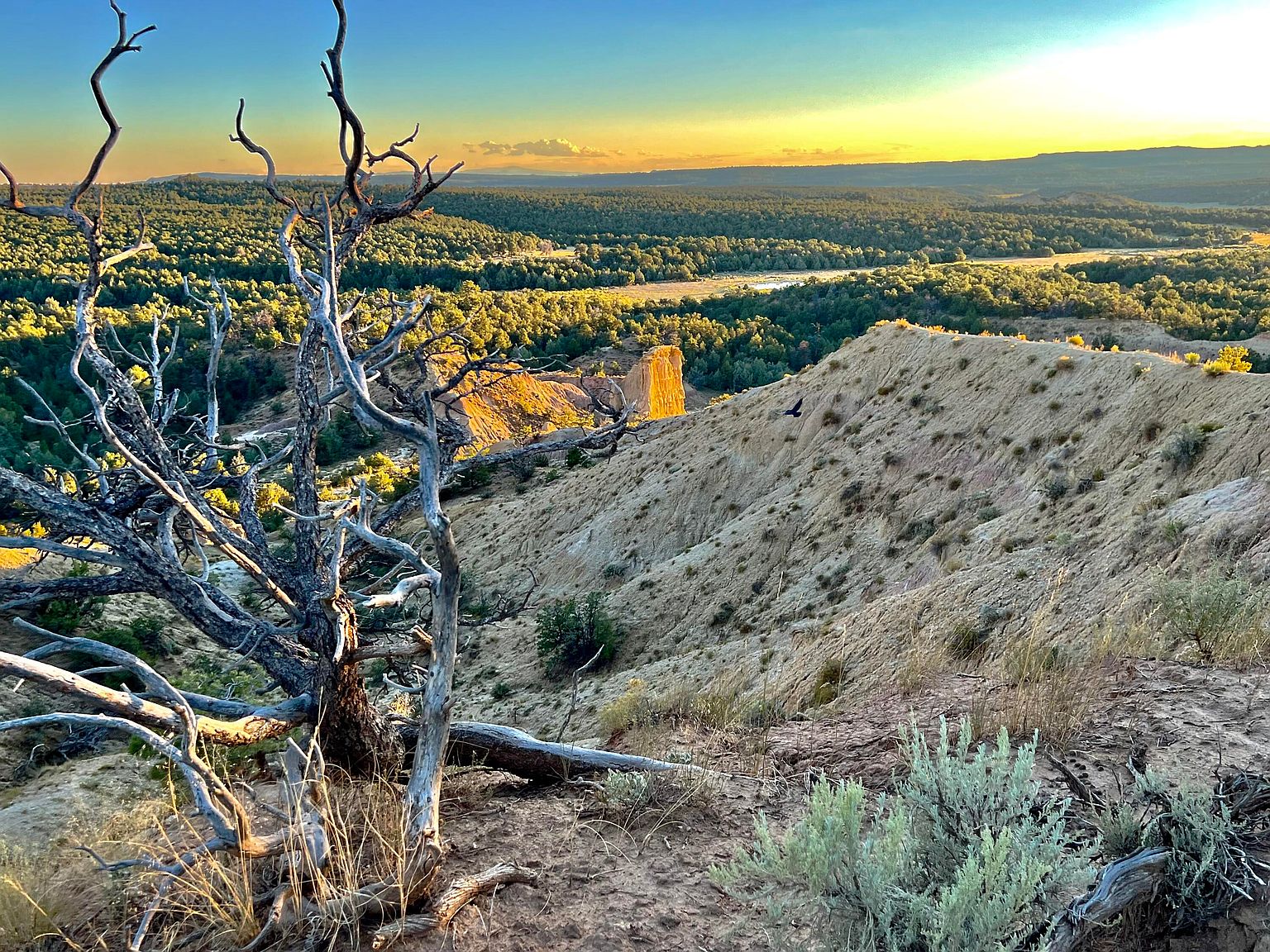 San Jose Trl LOT 4, La Jara, NM 87027 Zillow