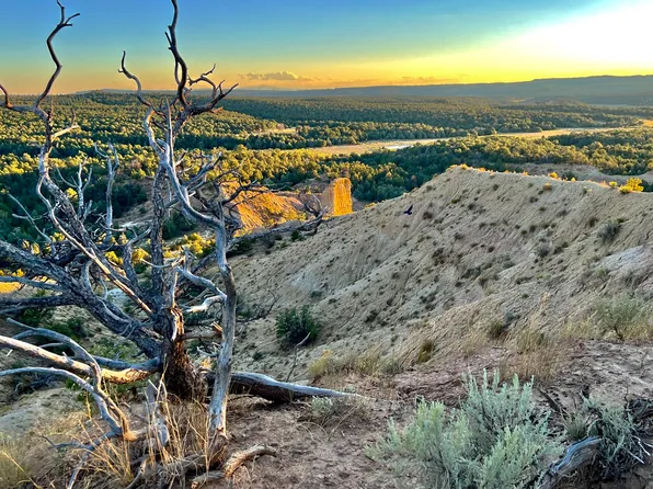 San Jose Trl Lot 4, La Jara, NM 87027