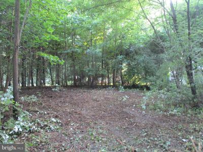 1 New Hampshire Ave, Earleville, MD, 21919