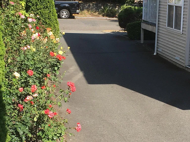 Driveway access with mature Landscaping