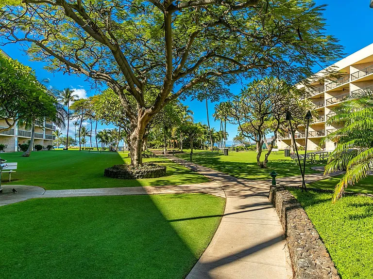 1032 S Kihei Rd #A217 — Photo 30