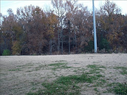 5th image of 112 Lauren Wood Cir