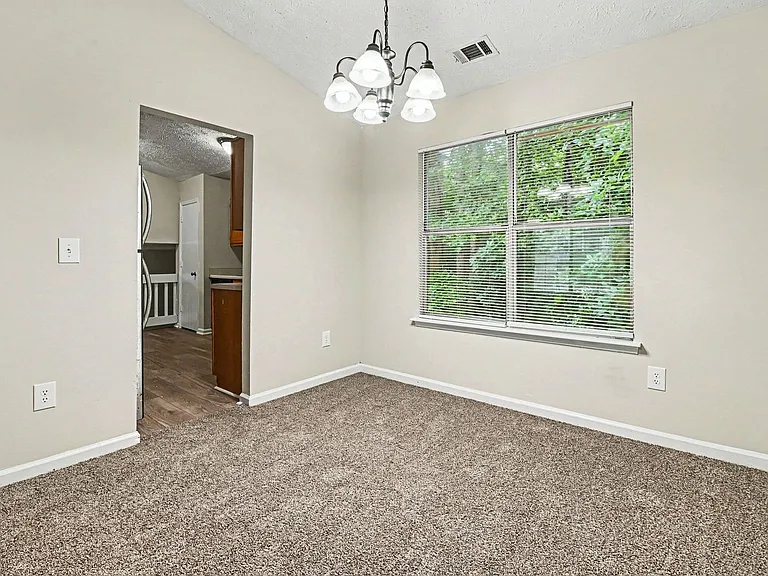 3892 Conley Downs Ln — Photo 6