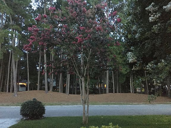 View from front door 