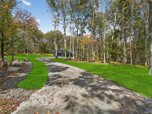 273 Perry Pond Road, Narrowsburg, NY 12764