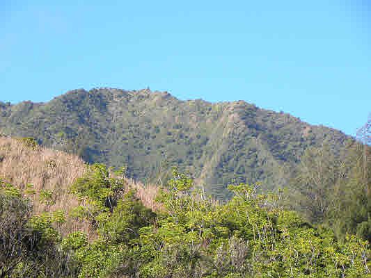 2nd image of Kuhio Hwy Lot 84-B-1