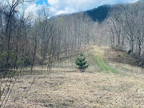 4th image of 5 Brasstown Rd