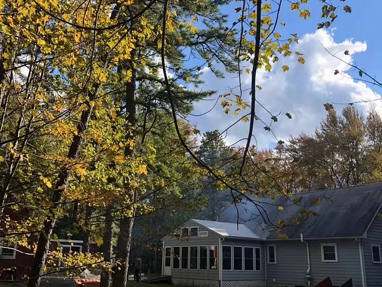 View from backyard