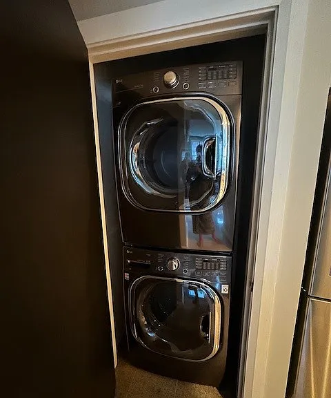 LG Washer & Dryer. Dryer has steam function.