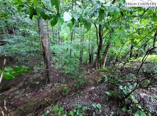 143 Raccoon Road, Beech Mountain, NC 28604