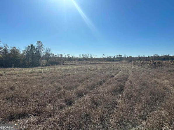 0 Buck Creek Rd, Sylvania, GA 30467