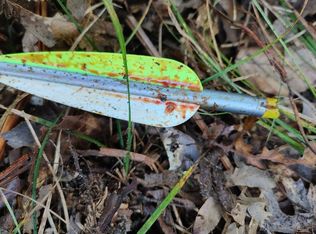 2663 E Yale Rd, Rothbury, MI 49452