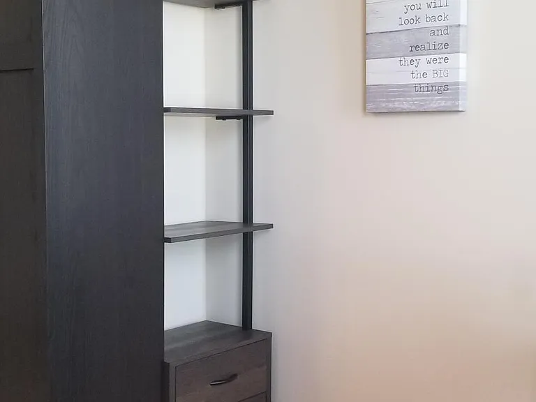 Additional storage shelves behind Murphy bed.