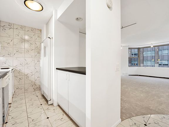 3rd image of 535 N Michigan Ave APT 1003