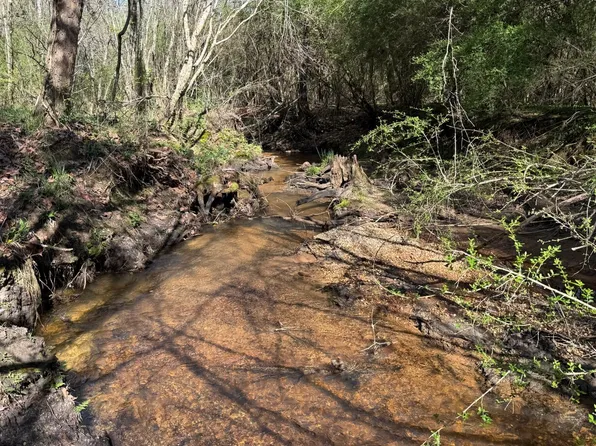 0 County Road 3, Headland, AL 36345