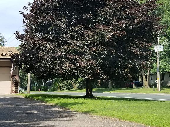 5th image of 687 116th Ln NE