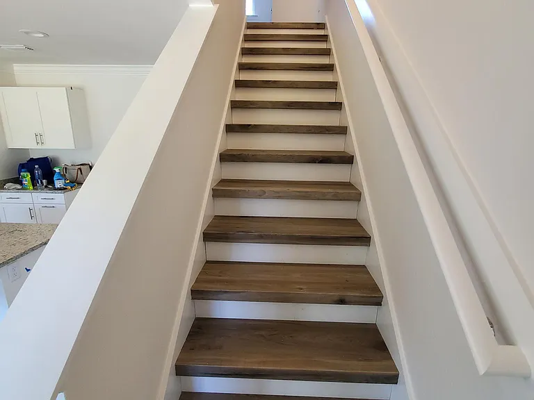 2872 Blue Blossom Trl — Photo 14