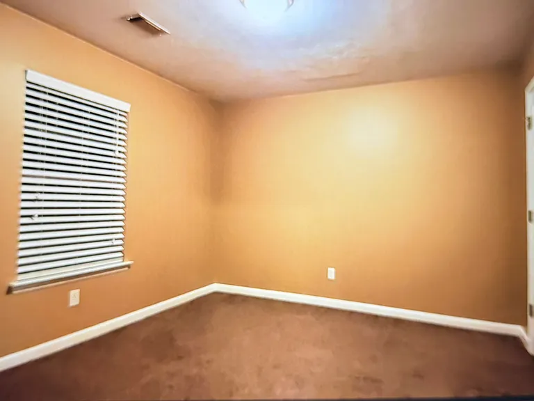225 Sassafras Ln — Photo 7