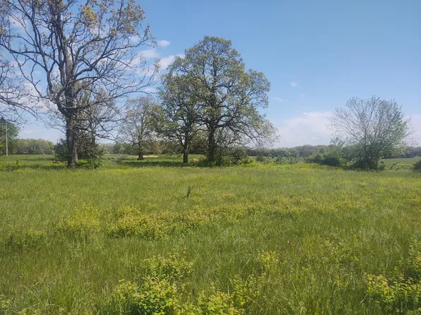 000 , Tract 1 & Tract 2, Diggins, MO 65636