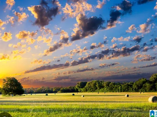 0 Mountain Springs Rd #1, Oneonta, AL 35121