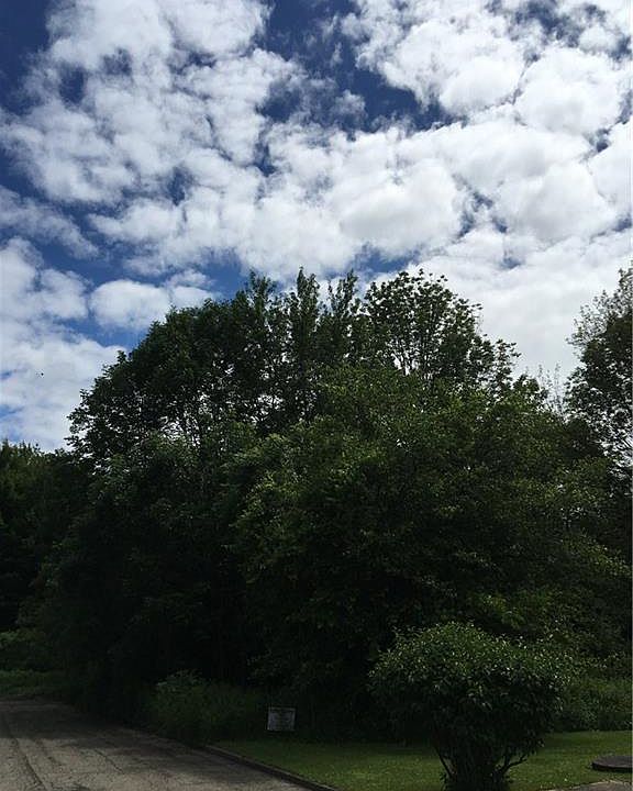 1st image of Benson Ave