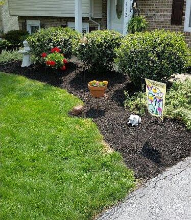 5th image of 412 Ashford Dr