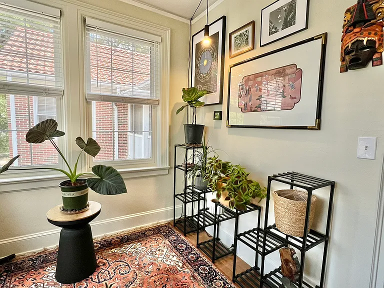 Do you live plants? Bc we have the sunshine!