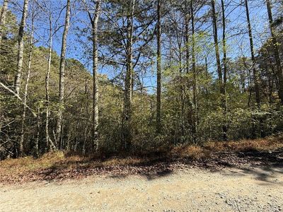0 Heritage Way #68, Ellijay, GA, 30540
