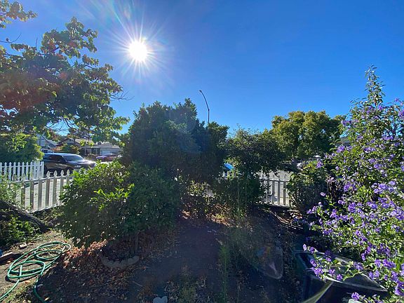 front yard