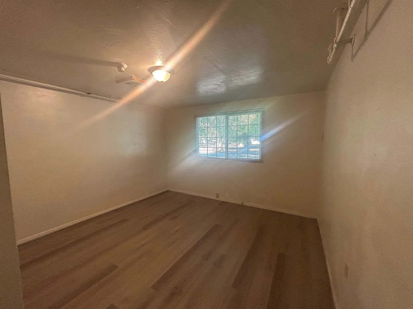 1163 Arcadian Avenue — Photo 4