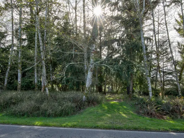 189 Duck Lake Drive NE, Ocean Shores, WA 98569