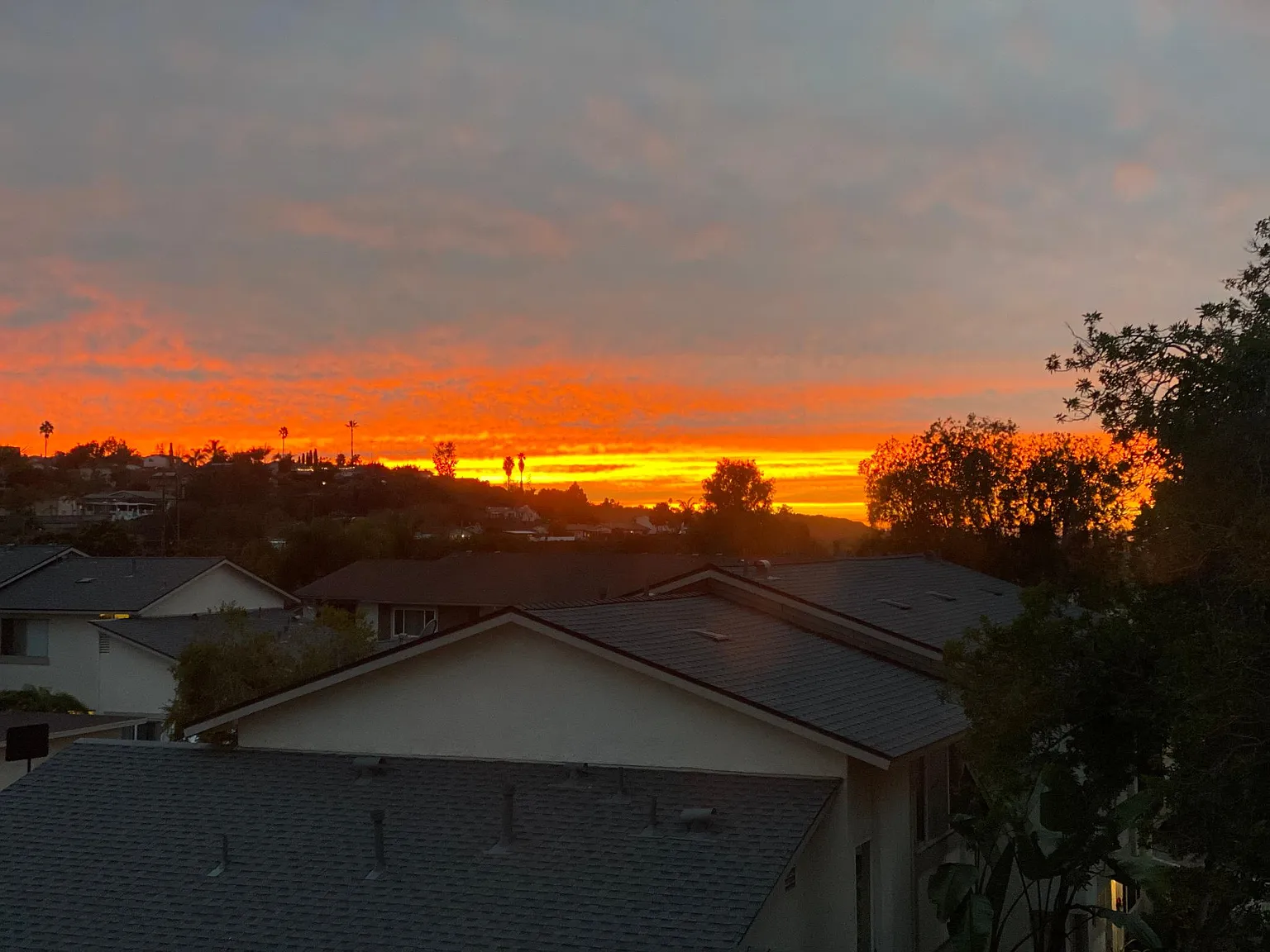 3565 Surf Pl — Photo 1