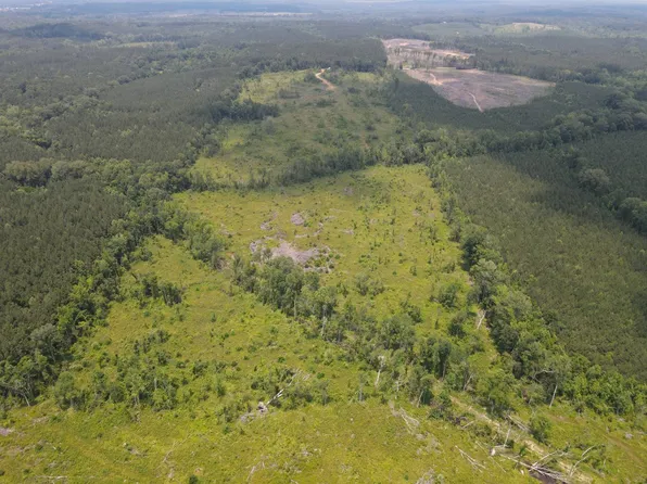 Highway 492, Walnut Grove, MS 39189