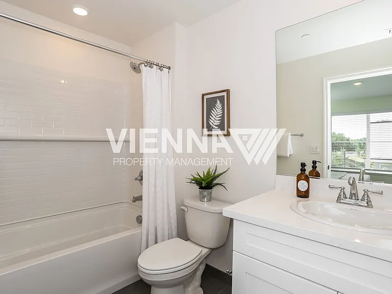 8100 Quiet Knolls Dr — Photo 12