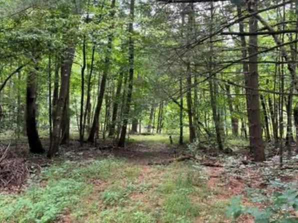 0 Oakland Rd, Bethel, OH 45106