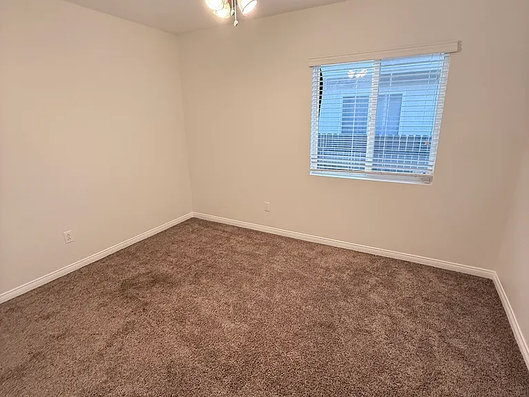 11893 Pepperwood St — Photo 11