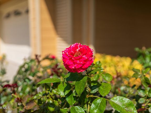 3rd image of 2654 Georgette Pl