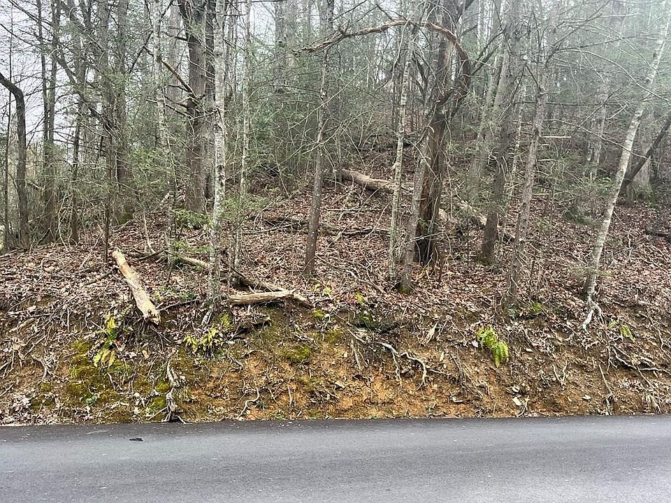 1st image of 43 Ownby Dr Lot Po